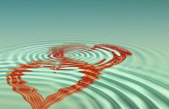 BoVegas Casino Soporte